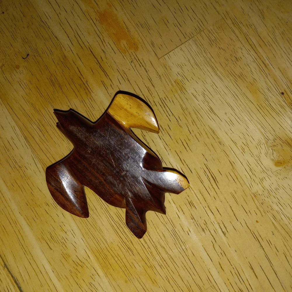 Turtle - Picture 2 of 3